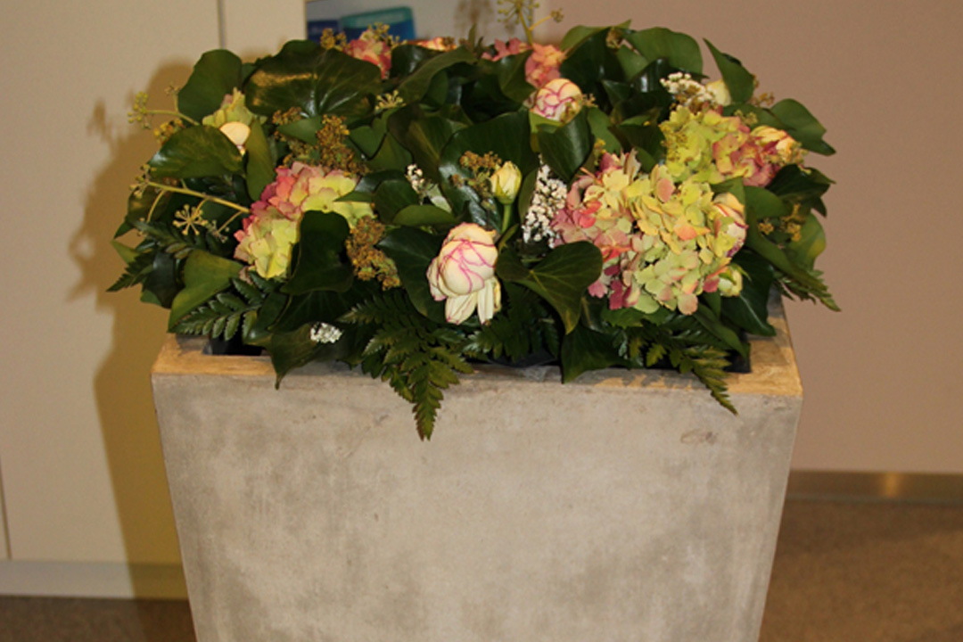 Blumen im Praxiseingang